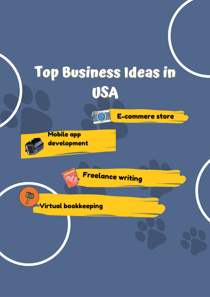 Rising to the Top The Top Business Ideas in the USA ViralZila